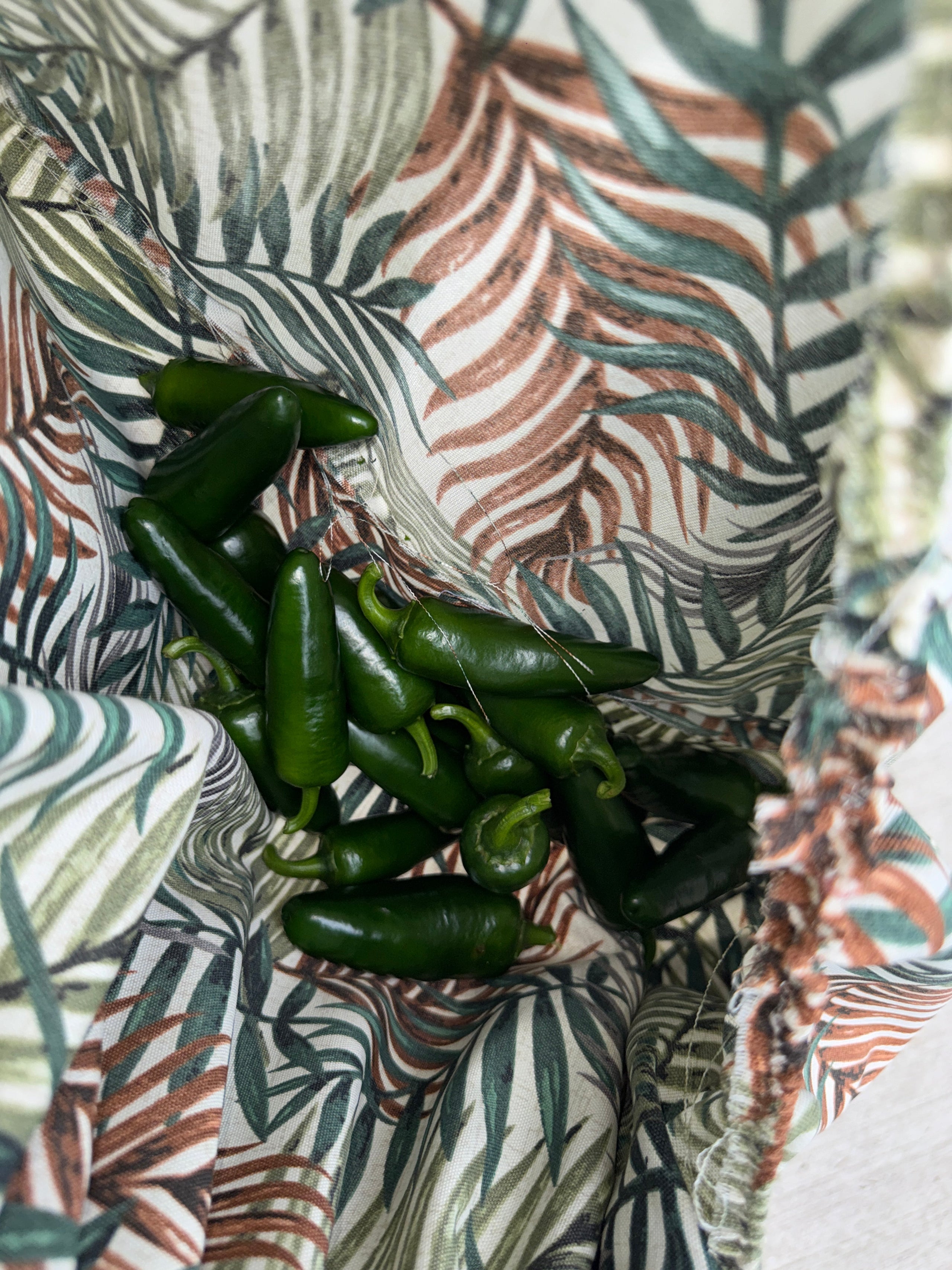 Garden Accessories