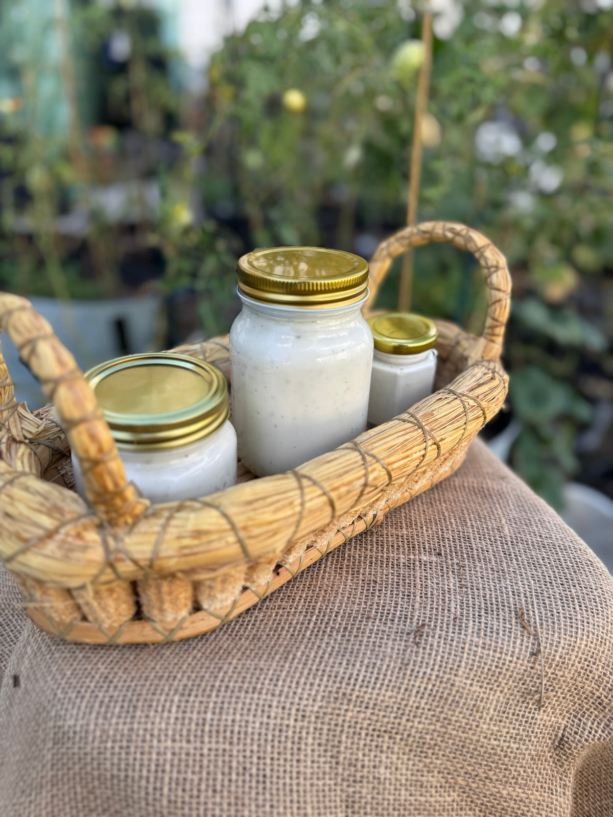 Homemade Garden Dill Ranch Dressing