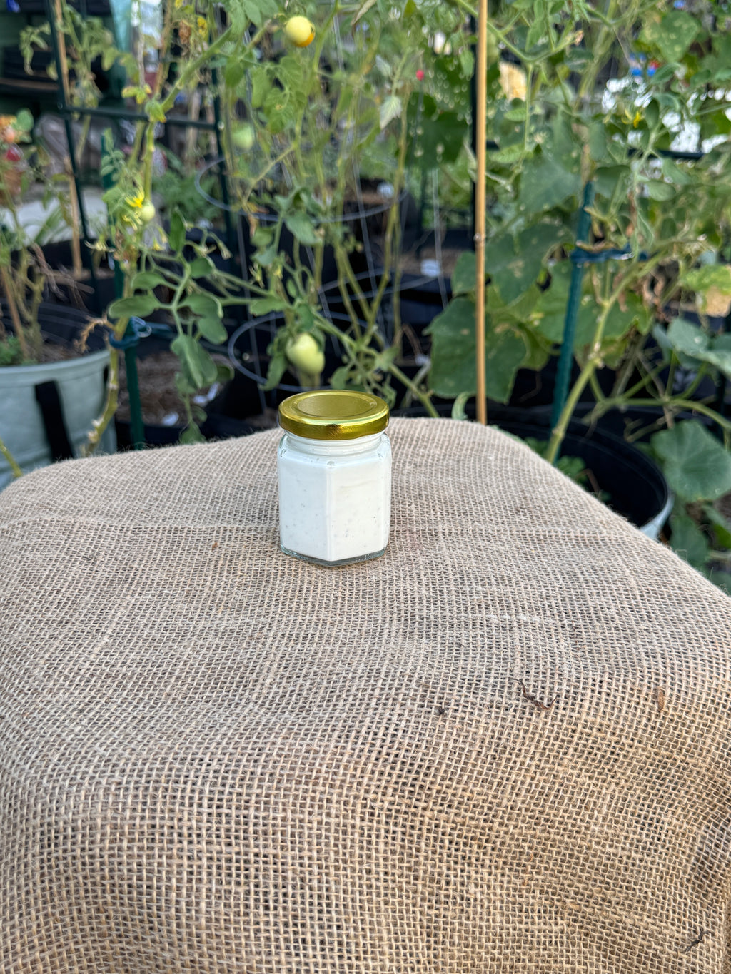 Homemade Garden Dill Ranch Dressing