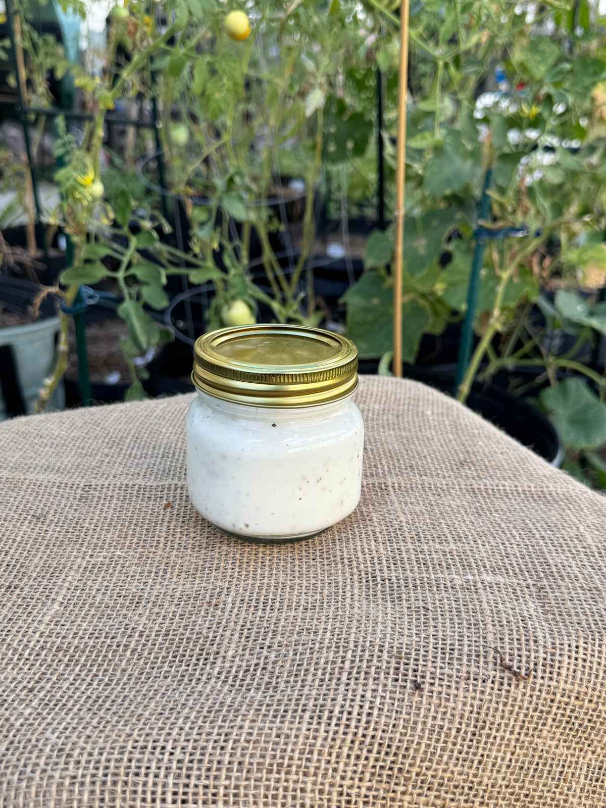 Homemade Garden Dill Ranch Dressing