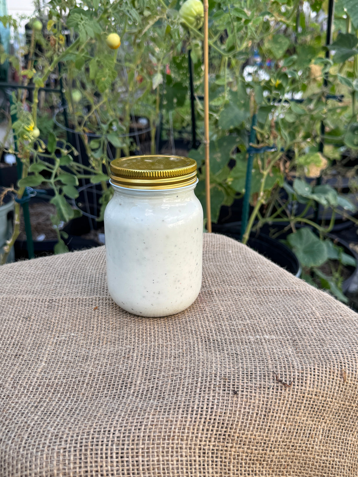 Homemade Garden Dill Ranch Dressing