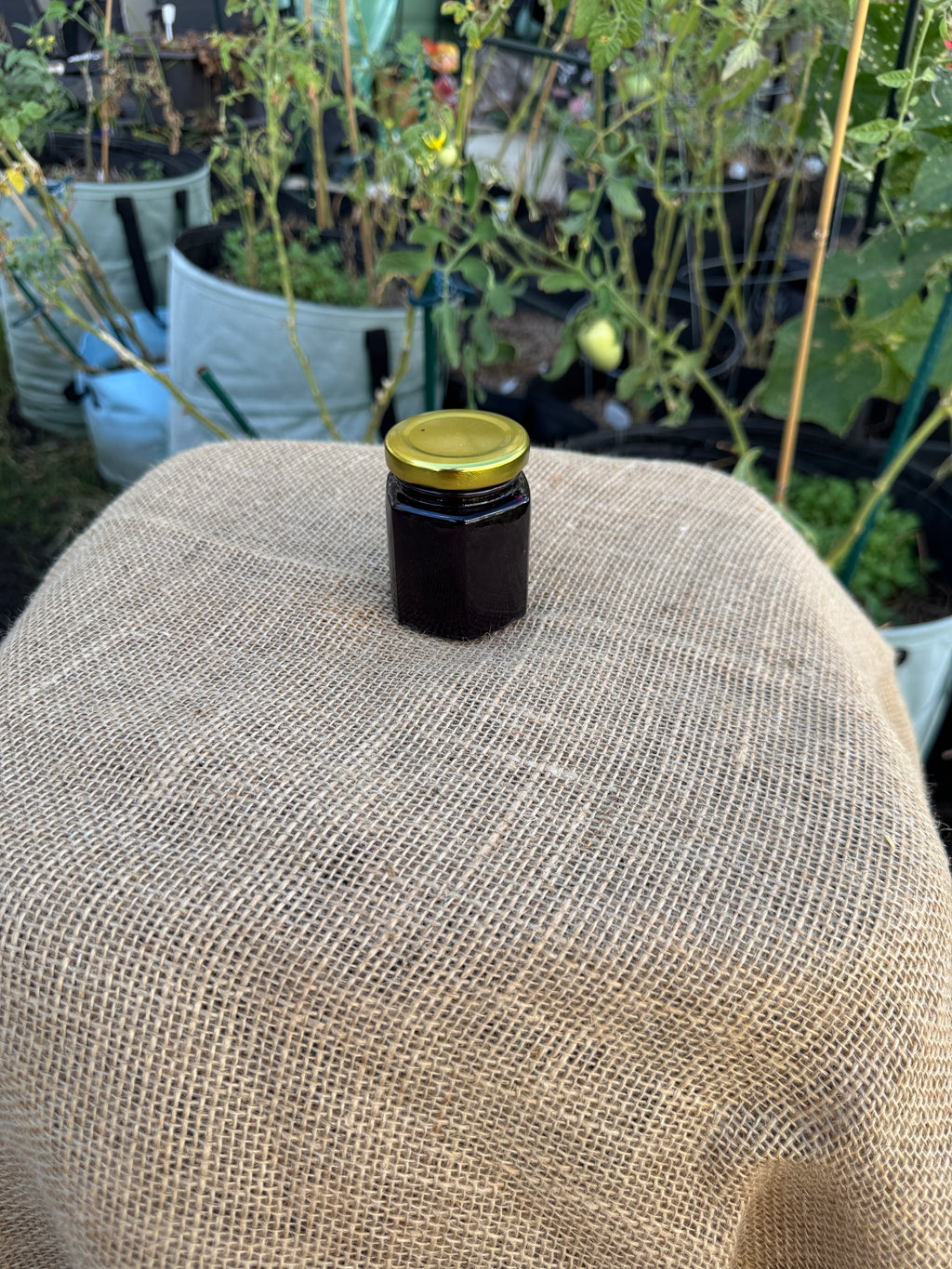 Blueberry Jam