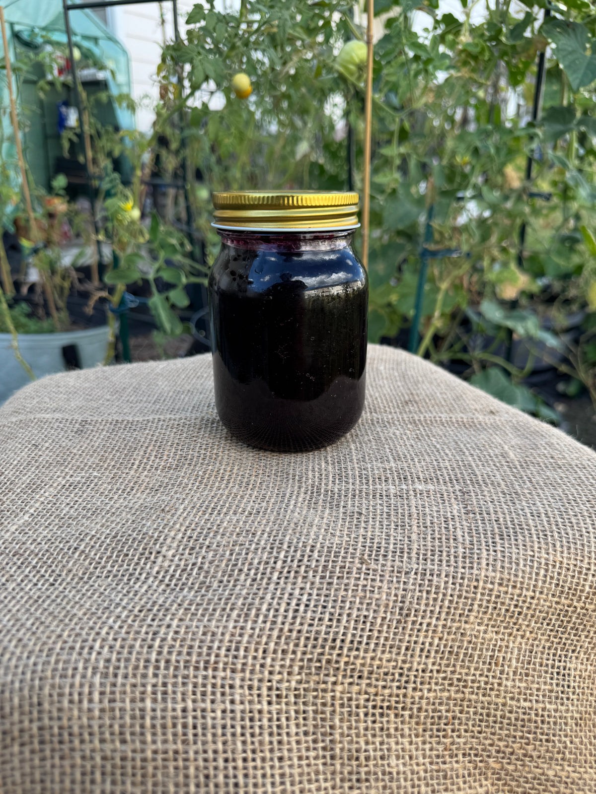 Blueberry Jam