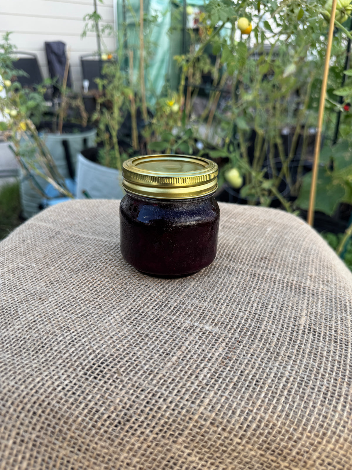 Mixed Berry Jam
