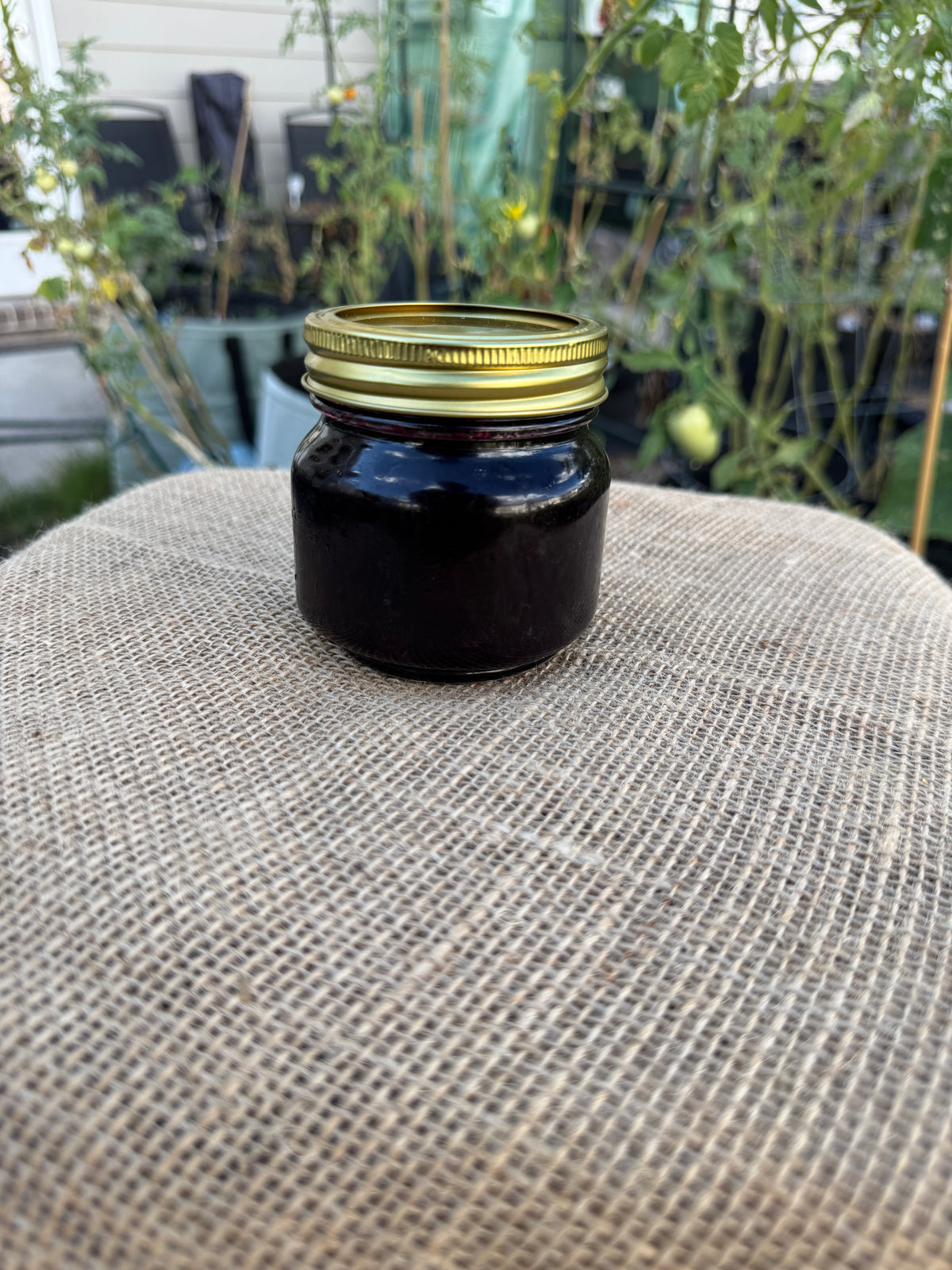Blueberry Jam